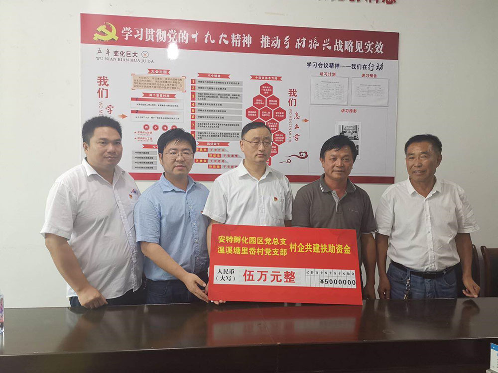ANTE INSTRUMENT GROUP CO., LTD.