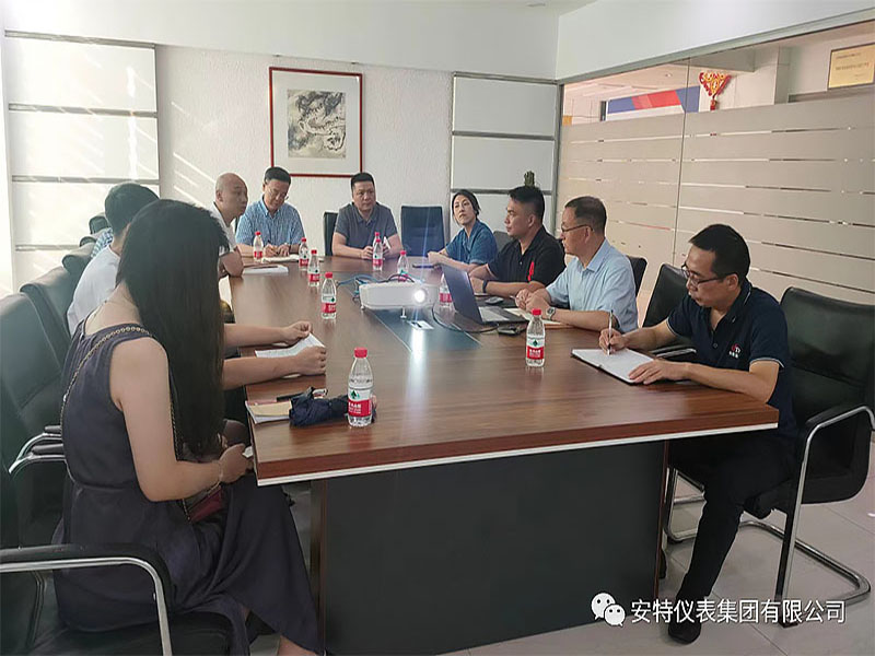 安特儀表集團有限公司