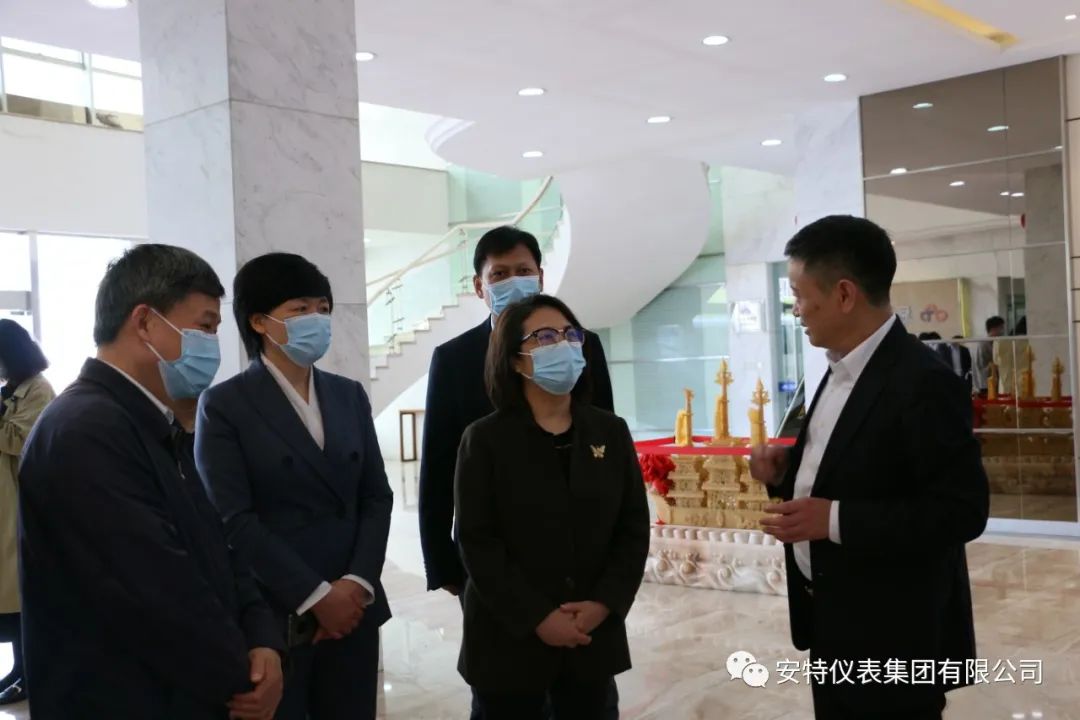 安特儀表集團有限公司