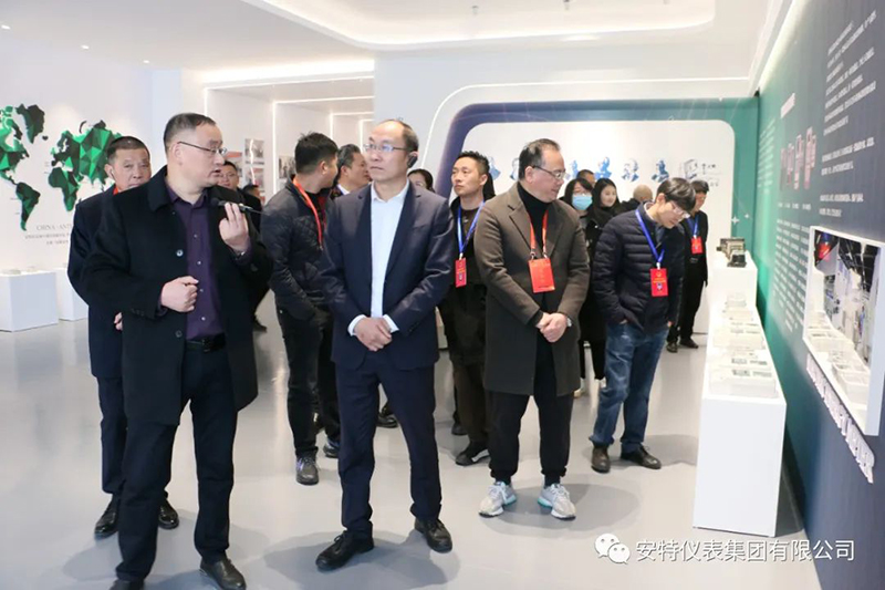 ANTE INSTRUMENT GROUP CO., LTD.