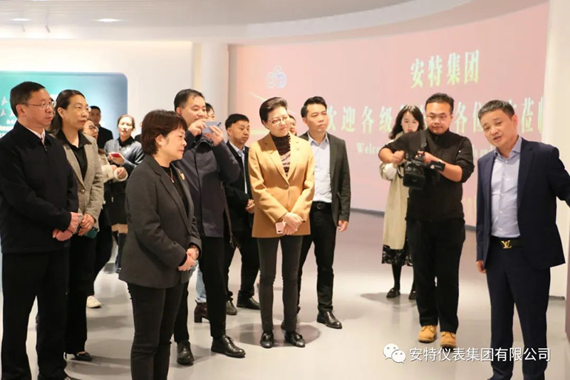 ANTE INSTRUMENT GROUP CO., LTD.