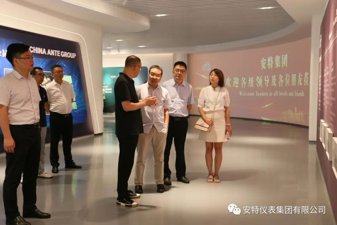 ANTE INSTRUMENT GROUP CO., LTD.