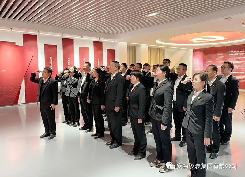 ANTE INSTRUMENT GROUP CO., LTD.