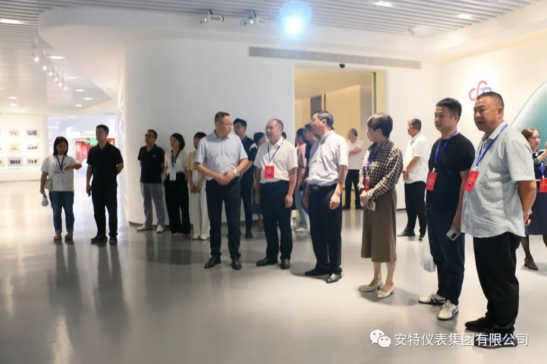 ANTE INSTRUMENT GROUP CO., LTD.