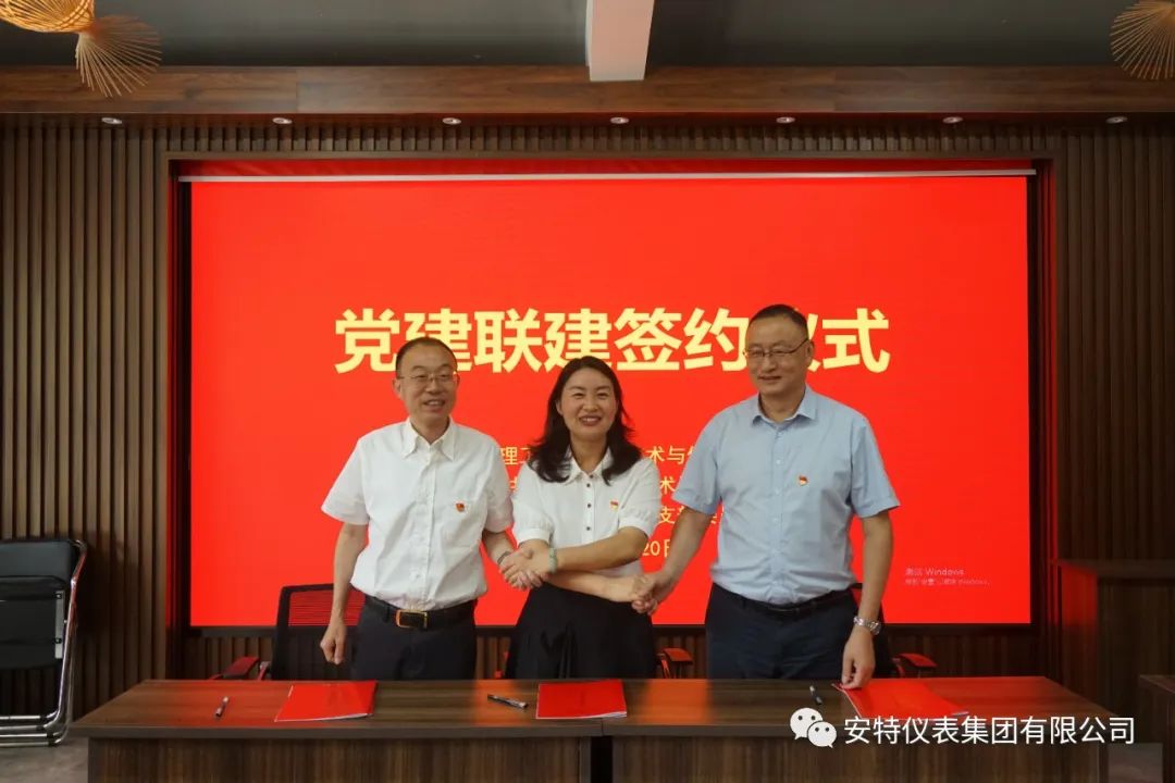 ANTE INSTRUMENT GROUP CO., LTD.