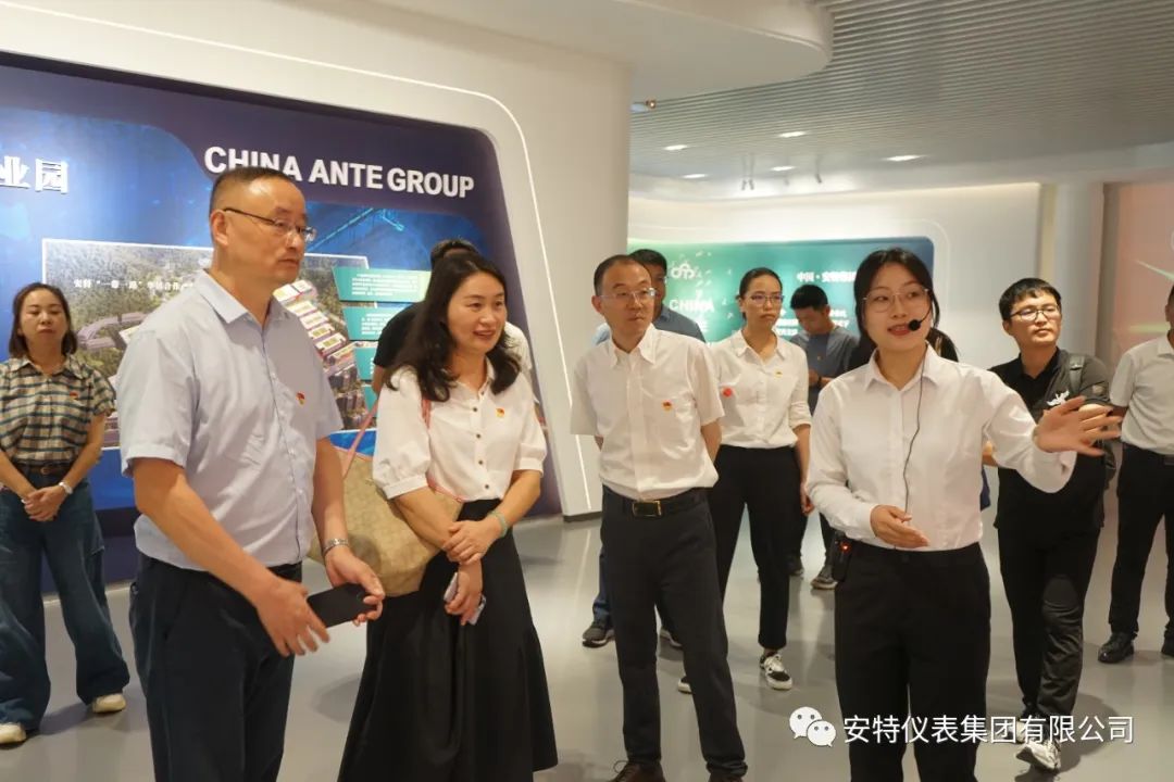 ANTE INSTRUMENT GROUP CO., LTD.