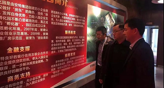 Li Jianjun, subdirector de la Oficina Municipal de Economía y Tecnología de la Información de Lishui, y su séquito realizaron una investigación sobre el parque de incubación de micro y peque?as empres