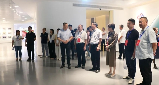 麗水市第五屆人大代表景寧中心組調研安特集團