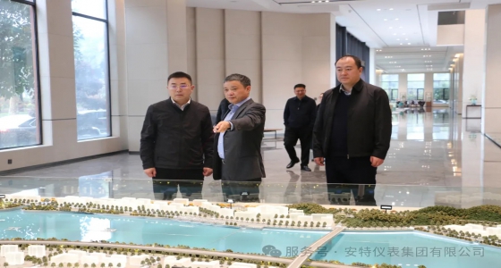 麗水市政府副秘書長王永國一行調研安特集團
